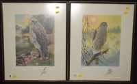 Lot 40 - After James Alder - a peregrine falcon, signed...