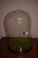 Lot 516 - A circular glass dome on wooden base.