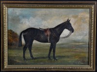 Lot 249 - George Stirling-Brown (20th Century) A bay...