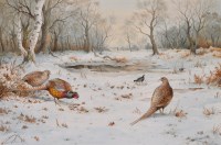 Lot 45 - Carl Donner (Contemporary) PHEASANTS AND...