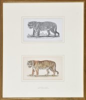 Lot 60 - Thomas Bewick (1753-1828) ''PIDCOCK'S LION''...