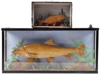 Lot 417 - *Two 19th Century taxidermy fish models, the...