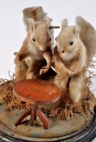 Lot 425 - *An early 20th Century taxidermy model of two...