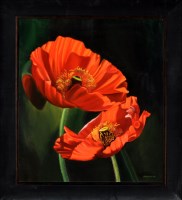 Lot 367 - *Editha von Clee Red Poppies signed oil on...