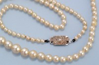 Lot 686 - A cultured pearl necklace, the single row of...