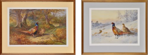 Lot 25 - After Archibald Thorburn (1860-1935) PHEASANTS...