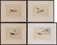 Lot 26 - Robert Denholm (Early 20th Century) GAME BIRDS...