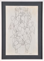 Lot 165 - John Robert Murray McCheyne SWEETHEART PLANT 2...