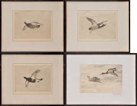 Lot 273 - R*** Denholm GAME BIRDS IN FLIGHT signed in...