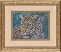 Lot 294 - Joel Kirk ''STUDY OF A LEOPARD'' pastel 23 x...