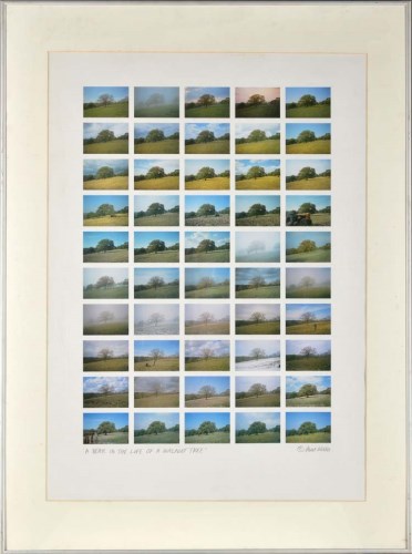 Lot 18 - Paul Aston (Contemporary) ''A YEAR IN THE LIFE...