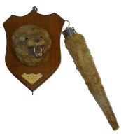 Lot 455 - A taxidermy otter head, by J.W. Quatremain,...