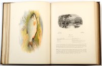 Lot 1009 - Houghton (W. Rev) British Fresh Water Fishes,...