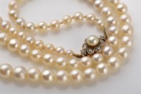 Lot 1023 - A cultured pearl necklace, the graduating row...