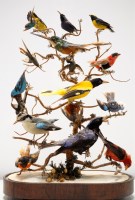 Lot 1266 - † A late 19th Century stuffed bird montage,...