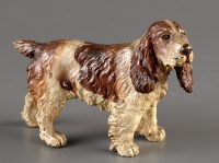 Lot 974 - A cold painted bronze Springer Spaniel, liver...