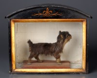 Lot 989 - An early 20th Century taxidermy miniature...