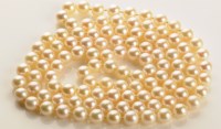 Lot 783 - A single uniform row of cultured pearls,...