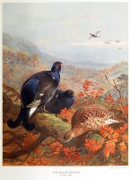 Lot 986 - Millais (J.G.) Natural History of British Game...