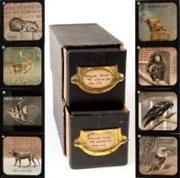 Lot 1142 - A set of magic lantern slides, entitled...