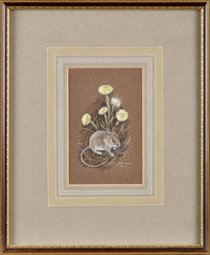 Lot 38 - Kathleen Nelson (Contemporary) ''SHORT-TAILED...