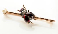 Lot 661 - A 19th Century fly pattern brooch, the fly set...