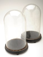 Lot 982 - A pair of glass domes, each 8in. (20cms)...