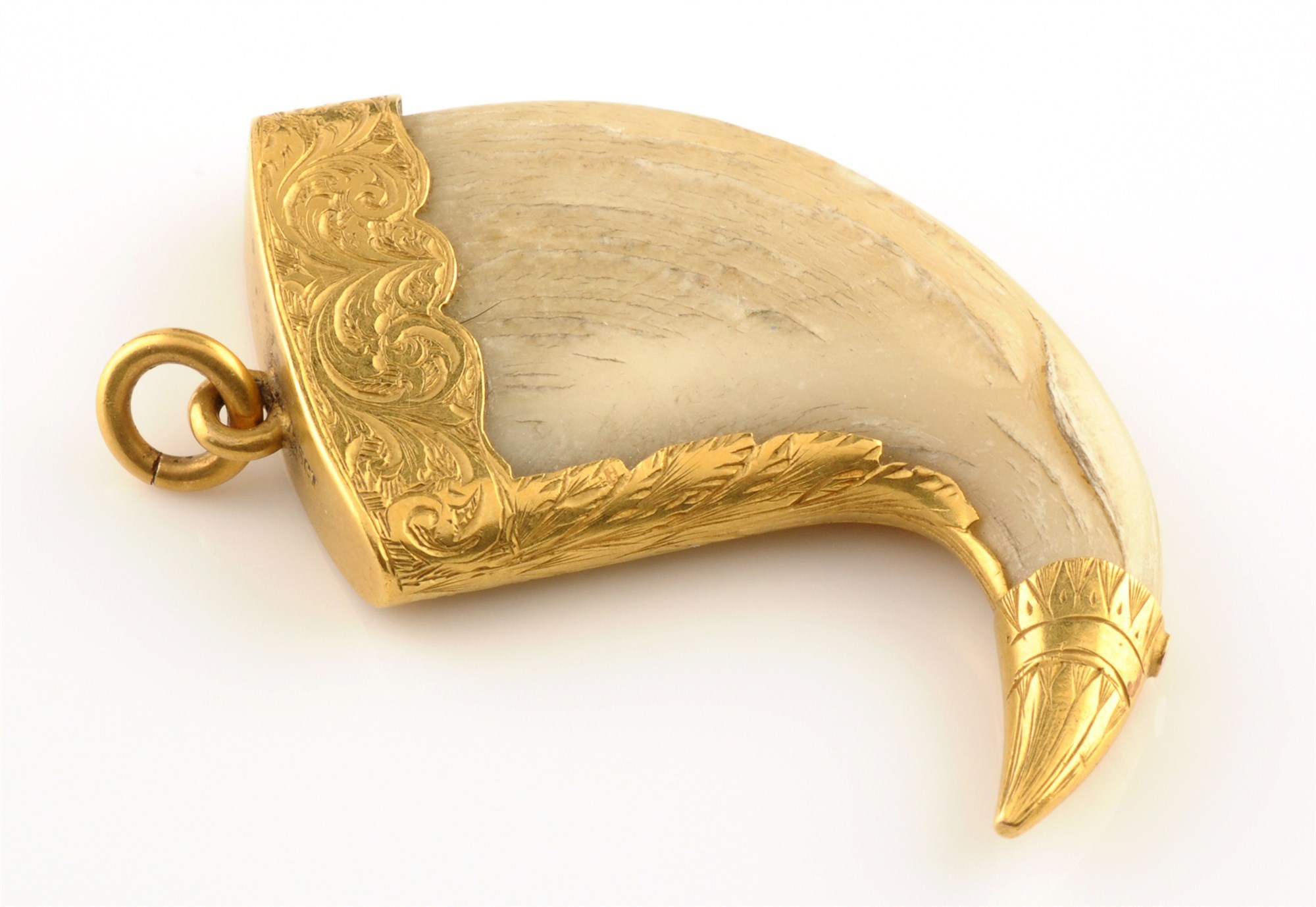 Lot 886 - A yellow metal mounted tiger claw pendant