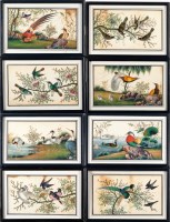 Lot 1047 - 19th Century Chinese School STUDIES OF EXOTIC...