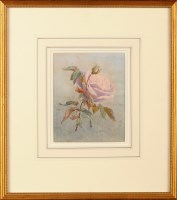 Lot 1050 - C*** P*** (Early 20th Century) STUDY OF A ROSE...