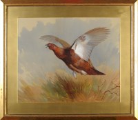 Lot 1062 - Archibald Thorburn, FZS (1860-1935) A RED...