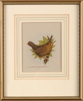 Lot 1064 - David Andrews (20th Century) ''BLACKBIRD...