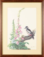 Lot 115 - James Alder ''THE GREAT SPOTTED WOODPECKER AND...