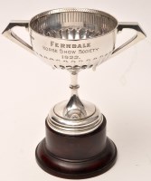 Lot 600 - The Ferndale Horse Show Society 1922 Cup, won...