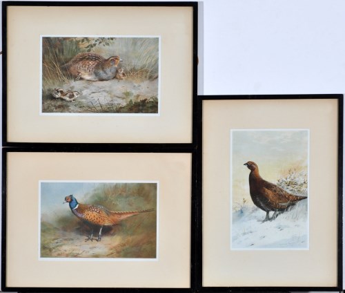 Lot 19 - After Archibald Thorburn (1860-1935) A grouse;...