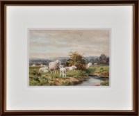 Lot 68 - Joseph Dixon Clark (1849-1944) Sheep in a...