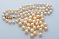 Lot 869 - A single uniform row cultured pearl necklace,...