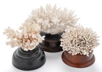 Lot 1014 - Three coral specimens, two mounted on turned...