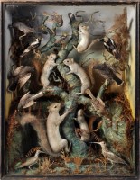 Lot 1039 - An early 20th Century taxidermy montage of...