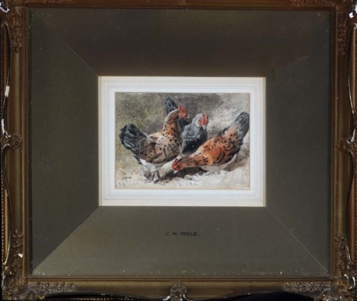 Lot 79 - John Henry Mole, VPRI (1814-1886) THREE HENS...
