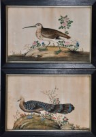 Lot 93 - 19th Century Chinese School - Exotic birds,...