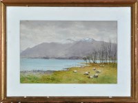 Lot 98 - Cosens Way - Sheep in a meadow by a lake,...