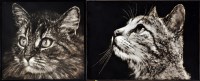 Lot 199 - Pietr Ugan - Cat portraits, signed and dated...