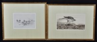 Lot 9 - Winifred Austen - bird studies, signed in...