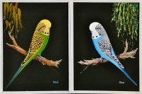 Lot 176 - **** Slade - portraits of budgies, signed...