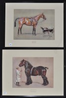 Lot 631 - After Cecil Aldin - ''Strength'' and ''Brains''...