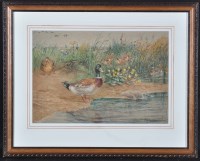 Lot 761 - John Vallentine - ''Mallards'', signed; label...