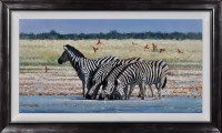 Lot 208 - Pip McGarry (1955- ) Zebras at a riverbank,...