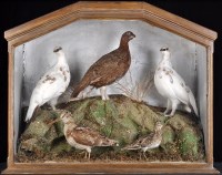 Lot 294 - An early 20th Century taxidermy diorama,...