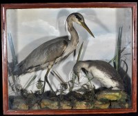 Lot 304 - An early 20th Century taxidermy diorama of a...